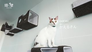 【LIXIL】猫壁愛用者が語る！快適な猫壁生活の秘訣