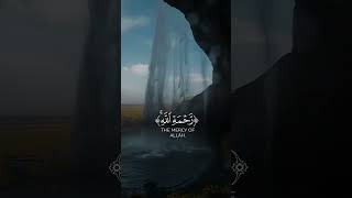 Amazing Quran recitation beautiful voice Islamic status #Quran #watchnow