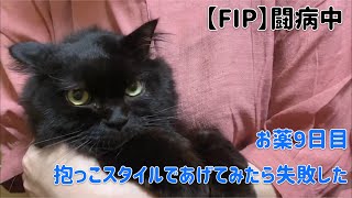 【FIP治療9日目】難病と闘うにゃんこ。今日のお薬動画（猫伝染性腹膜炎）