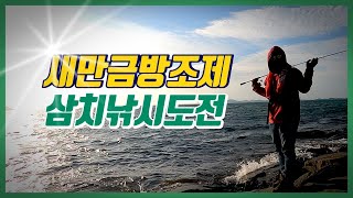 새만금방조제 삼치낚시 도전기 - 삼치야 어딨니? / 삼치낚시 / 새만금방조제