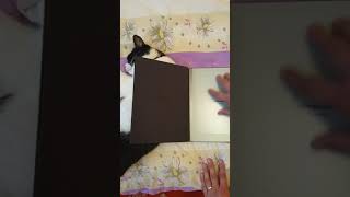 reMarkable 2 ASMR denied by the Cat #Shorts