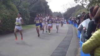 2016年 立川ハーフ・日本学生ハーフマラソン　17km