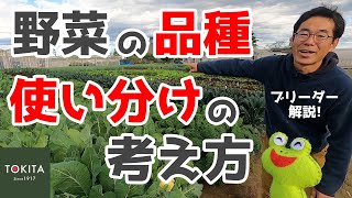 【イタリア野菜】品目によって異なる！品種使い分けのポイント【ブリーダー解説】