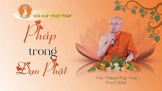 VĐPP -  Pháp trong Phật giáo - HT Pháp Tông thuyết giảng