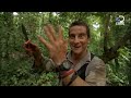 Bear Grylls in Borneo Jungle  Man vs Wild (46)