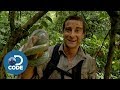 Bear Grylls in Borneo Jungle | Man vs Wild (4/6)