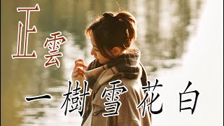 一樹雪花白 - 正雲 - 無損音樂