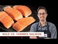 The Scientific Difference Between Cooking Wild and Farmed Salmon