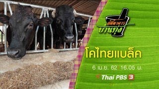 โคไทยแบล็ค : ภัตตาคารบ้านทุ่ง (6 เม.ย.62)