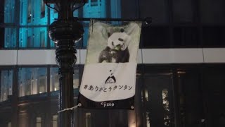 LOVE♥ KOBE4K🐼 神戸、夜の街にタンタン🐼 ろまんてぃっくたんたん🐼 ありがとうタンタン🐼 #神戸4K