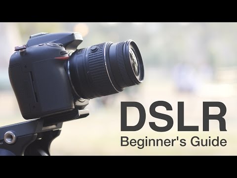 How to Use a DSLR Camera? A Beginner's Guide How to Use a DSLR Camera? A Beginner's Guide