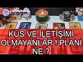 KÜS VE İLETİŞİMİ OLMAYANLAR ❗❗ PLANI NE ? #tarot falı #keşfet