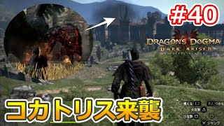 【ドラゴンズドグマDA #40】ゾンビ覚者、純魔型への道～領都でコカトリスが大暴れ！～【Dragon's Dogma:Dark Arisen／ハードモード／字幕プレイ動画】