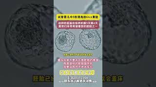 试管婴儿中2枚漂亮的6AA囊胚 #代孕机构 #代孕价格#试管 #代孕 #吉尔吉斯斯坦rhat #亚美尼亚合法代孕 #中国 #北京