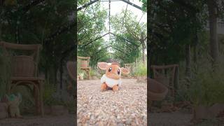 How Should I Evolve My Eevee