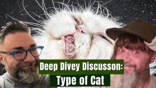 Deep Divey Discussions: Cats