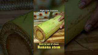 #shorts | How to cut \u0026 clean Banana stem |