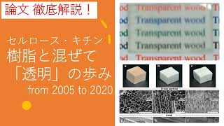 【論文2005-2020】セルロース・キチン、樹脂と混ぜて「透明」の歩み