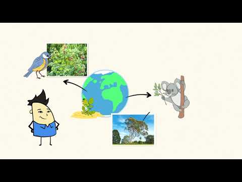 How do living things change their environment?