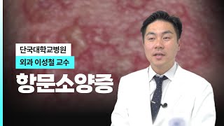 항문소양증 I 단국대병원 외과 이성철 교수