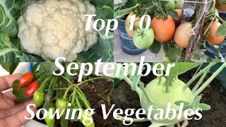 Top 10 Winter Vegetable Seeds To Sow In September (with Sowing Process)