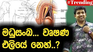 මධුසංඛ... වෘෂණ එලියේ නෙහ්..? | Dinesh Muthugala | Episode 150