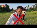 মাত্র ১০০০ টাকা দিয়ে mr beast এর video বানালাম😱 cb shadhin videos