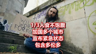 1/3人食不饱腹 加国多个城市宣布紧急状态 包含多伦多