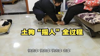 土狗真的很会“拉帮结派”