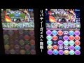 パズドラ０２９３日目　周回、 趙雲参上！リバティーガイスト降臨！