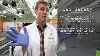 Safety In The Lab 101