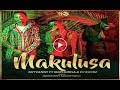 Rayvanny-Makulusa ft Maphorisa × Dj Buckz (Official Video)