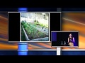 BIL2015 - Veronica Flores - Planting Perspective: A Gardener's Guide to Being a Better Human