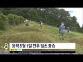 조상님 잘 지내셨죠 벌초 행렬 시작 jibs 제주 2022.08.21