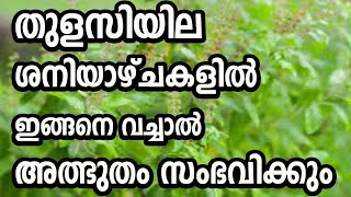 തുളസിയില ശനിയാഴ്ചകളിൽ ഇങ്ങനെ വച്ചാൽ അത്ഭുതം സംഭവിക്കും