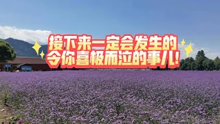 接下来一定会发生的令你喜极而泣的事儿!（不限时空）