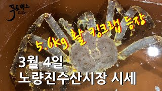 [최신시세정보] 5.6kg 대물 활킹크랩 등장 / 흑점줄전갱이 시즌시작~  3월 4일 노량진 수산시장