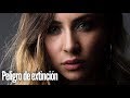 FORREST - Peligro de extinción (Cover de La Adictiva Banda San José de Mesillas)