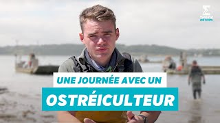 Une journée avec un Ostréiculteur