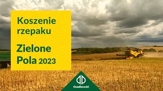 Żniwa 2023 - W Wirkach koszenie rzepaku za nami, a jakie plony?