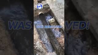 Massive blockage removed from a drain pipe!