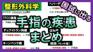 【整形外科学】手指の疾患【理学療法士・作業療法士】