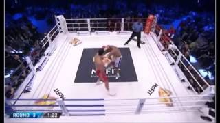 Wladimir Klitschko vs Alex Leapai Knockout Full Fight 26042014