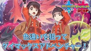 色違い狙ってダイマックスアドベンチャー!!【ポケットモンスター ソード・シールド】　初見さん、コメント歓迎！