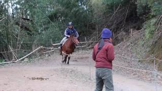 スポーツ流鏑馬入門２・サドルバック