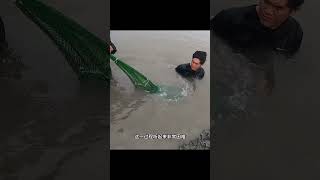 戶外趕海：漁民前往退潮後的海灘之中抓捕一種美味的海鯰魚！ #趕海生活 #抓魚