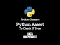 Python Glossary: Assert - Check If True