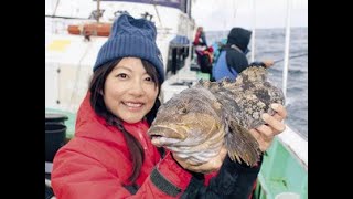 ✅  釣りガールの晴山由梨が、茨城・大洗沖でヒラメを狙った。１２月から茨城の海域で全面解禁になり数釣り、大型狙いともに好調な大洗港の報知指定・昭栄丸に乗船した。取材した１０日は、朝から強い北風と冷たい