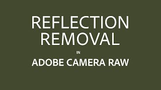 Reflection Removal in Adobe Camera Raw (Tech Preview)