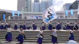 北里三陸湧昇龍＠2019　ハマこい・パシフィコ横浜